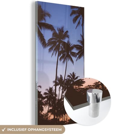 MuchoWow® Glasschilderij 20x40 cm - Schilderij acrylglas - Palmboom - Tropisch - Zomer - Lucht - Foto op glas - Schilderijen