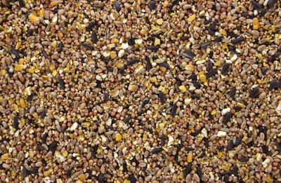 Strooivoer - 4 kilo - voor buitenvogels