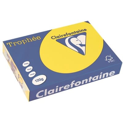 Clairefontaine Zonnegeel A4 Gekleurd papier 120 grams (250 vel)