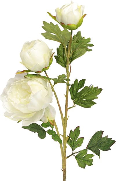 Kunstpioenrozen met 3 bloemen Wit Crème 81cm 2st, 2 Stück