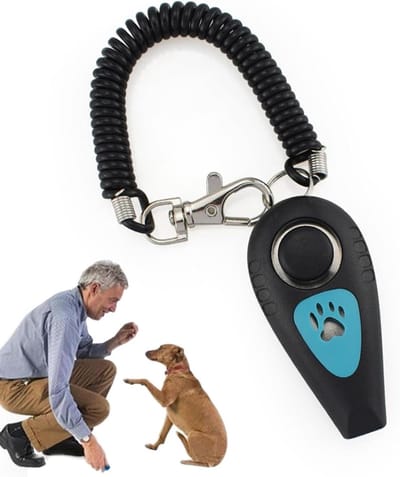 Huisdier Trainings Clicker - Hond Clicker - Gedrag Corrigeren - Twee Functies - 6.5x3x2cm - Zwart