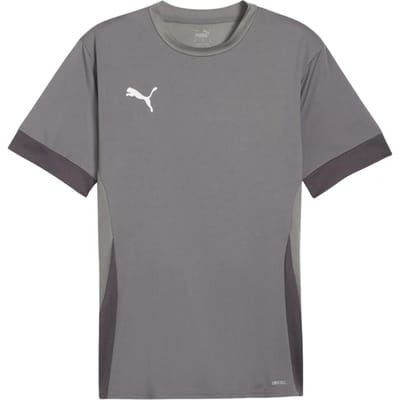 PUMA teamGOAL Matchday Jersey Heren Sportshirt - Cast Iron-PUMA White-Shadow Gray