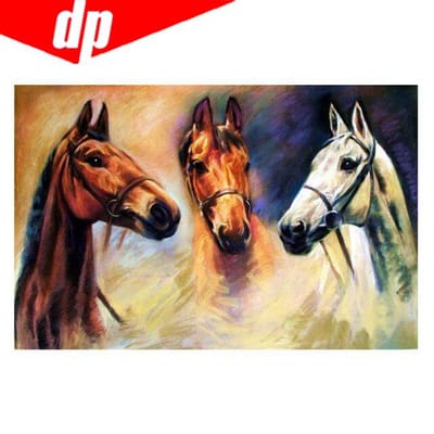 Paard diamant borduurwerk 5D DIY diamant schilderij kruissteek foto volledige ronde diamant 20X30