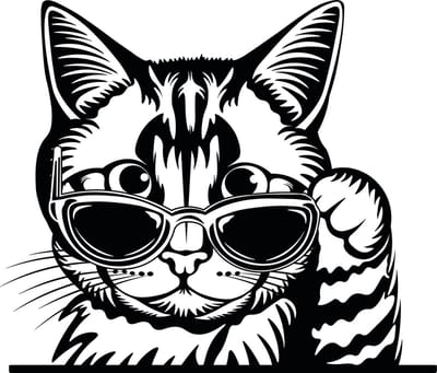 Auto - raam - muur sticker grappige gluurkat - poes - autotuning -