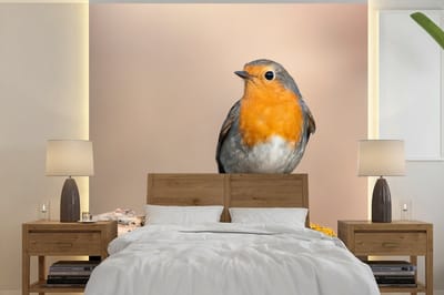 Behang - Fotobehang Roodborstje - Vogel - Tak - Dieren - Breedte 350 cm x hoogte 350 cm