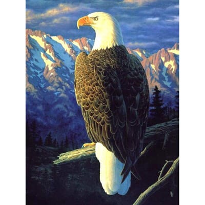 DIY Diamond Painting Kit Eagle Crystal Diamond Painting Volledige ronde boor 20X30CM