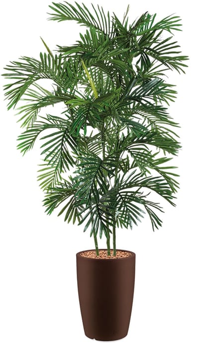 HTT - Kunstplant Areca palm in Genesis rond bruin H190 cm
