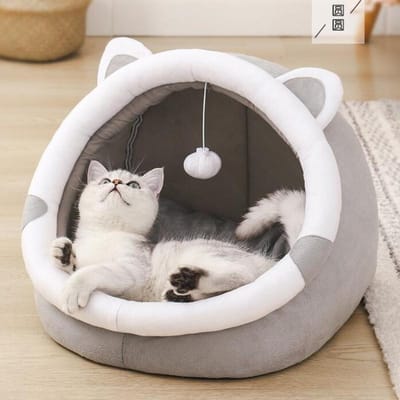 Divers types d'articles pour animaux de compagnie Chenils convertibles Chenils pour animaux de compagnie confortables semi-fermés Adaptés à toutes les saisons Chenils pour chats et chiens S