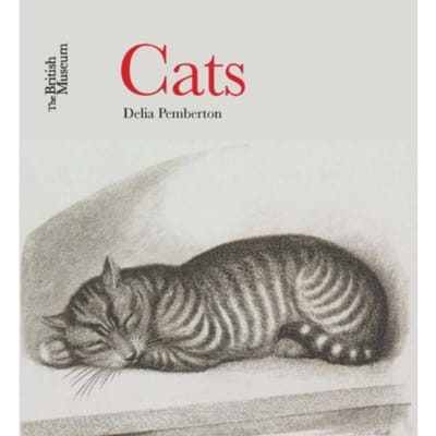 Cats - Delia Pemberton