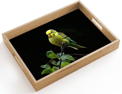 Dienblad hout 40x30 cm - Schootdienblad - Parkiet - Tak - Bladeren - Geel - Borrelplank rechthoek - Plateau dienbladen