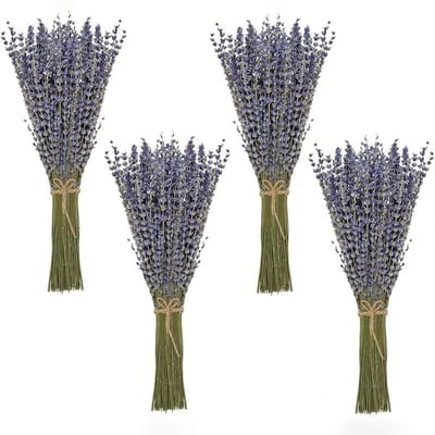 Dailygoods- Lavendelboeket 100 stelen - Gedroogde Bloemen - Franse Lavendel - Decoratie - Blauw Satijnen Lint - Hoogte 42 cm