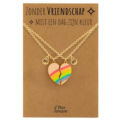BFF Ketting voor 2 'Zonder Vriendschap mist een dag zijn kleur' - Magnetisch Regenboog Hartje - Vriendschapsketting op Cadeau Kaartje - 45cm + 5cm verstelbaar - Goudkleurig - Best Friends Hanger - Pax Amare
