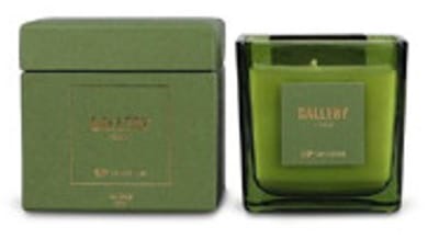 S|P Collection Geurkaars 220g Forest Gallery