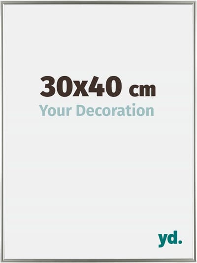 Your Decoration - Fotolijst 30x40 cm - Kunststof - Champagne - Evry