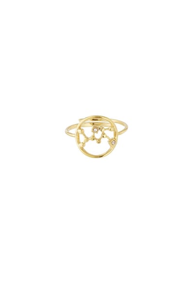 12 zodiac-ringen - Goudkleur