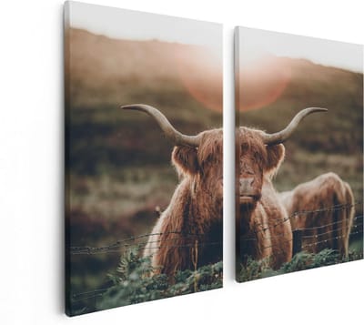 Artaza Canvas Schilderij Tweeluik Schotse Hooglander Koe In De Zon - 80x60 - Foto Op Canvas - Canvas Print