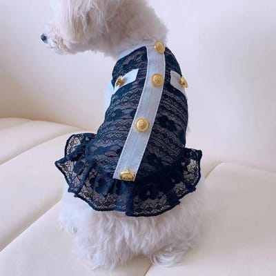 Huisdier Hond Zomer Dunne Kleding Mesh Kleding Kant Rokje Kleine Geurige Kleine Hond Kat Dunne Hondenkleding Jurk voor Kleine Honden XL