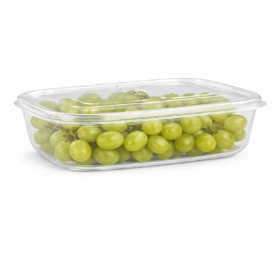 Plasticforte Vershoudbakje vriezer en magnetron - 800 ml - kunststof