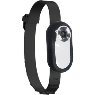 Kattencamerahalsband met 8GB geheugenkaart Draadloze kleine sportcamera met video-opname 1080P High-Clear B