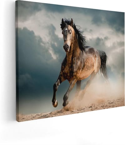 Artaza Canvas Schilderij Galopperend Paard - 50x40 cm - Wanddecoratie Woonkamer - Muurdecoratie Dieren - Kamer Accessoires