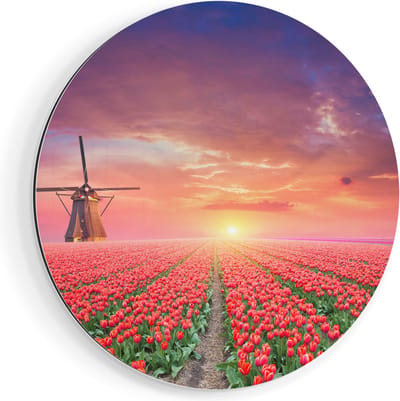 Artaza Dibond Muurcirkel Rode Rozen Bloemenveld Met Een Windmolen - Ø 80 cm - Groot - Wandcirkel - Rond Schilderij - Voor Binnen en Buiten
