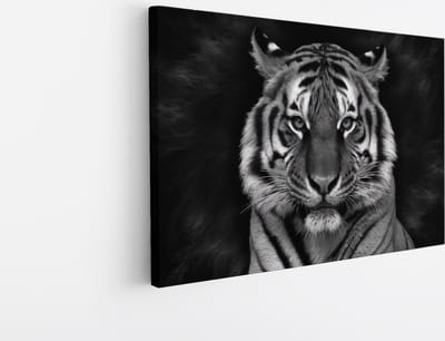 Saammp Canvas Schilderij - Tijger Portret - Abstract - Dieren - 30x20 - Foto op canvas - Wanddecoratie - muurdecoratie Woonkamer - Slaapkamer decoratie - Canvas Print