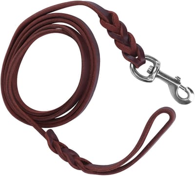 Dailygoods- Hondenriem 2 meter - Leren Hondenriem - Veiligheidstouw - Stevig en Duurzaam - Karabijnsluiting - Gevlochten Ontwerp - Hondentouw