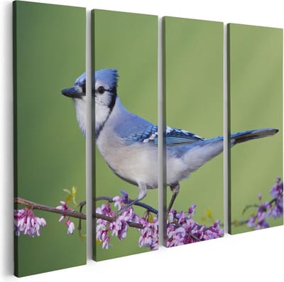 Artaza Canvas Schilderij Vierluik Blauwe Gaai Vogel Op Een Tak - Kleur - 80x60 - Foto Op Canvas - Canvas Print