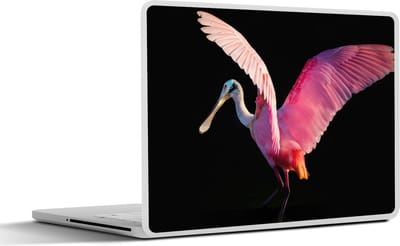 Laptop sticker - 12.3 inch - Roze lepelaar met gespreide vleugels weergegeven op zwarte achtergrond - 30x22cm - Laptopstickers - Laptop skin - Cover