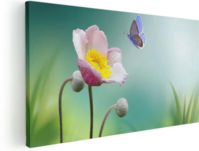 Artaza Canvas Schilderij Bloem Met Vlinder - 40x20 cm - Klein - Wanddecoratie Bloemen - Muurdecoratie Woonkamer - Decoratie Vlinders