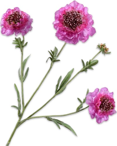 Silk-ka Kunstbloem-Zijden Bloemen Scabiosa Tak Lila-Roze 80 cm