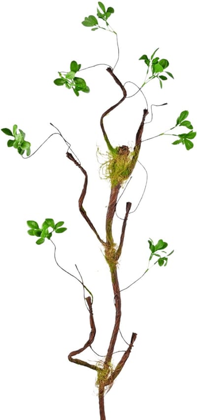 Easyplants | Kunsttak Enkianthus 100 cm groen | Zijde | Nepbloemen | groen | Onderhoudsvrij | Kant-en-klaar