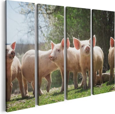 Artaza Canvas Schilderij Vierluik Groep Jonge Varkens - 80x60 - Foto Op Canvas - Canvas Print