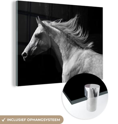 MuchoWow® Glasschilderij 160x120 cm - Schilderij acrylglas - Paarden - Dieren - Portret - Foto op glas - Schilderijen