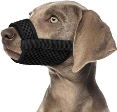 Honden muilkorf - Ademend mondstuk - Veilige wandelingen - Verstelbaar ontwerp - Maat L - Zwart
