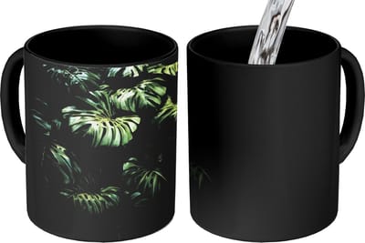Magische Mok - Foto op Warmte Mokken - Koffiemok - Plant - Monstera - Lichtinval - Magic Mok - Beker - 350 ML - Theemok