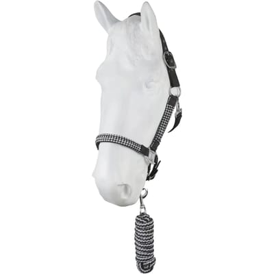 Halster en touwset voor paarden Horze Chicago