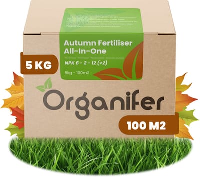 Najaarsmest All-In-One (5kg, 100m2) - Rijk aan Kalium - Gazonmest Najaar - Gazonsmeststof - Organische Meststof - Najaarsmest - Verhoogt de Weerstand van het Gazon tegen Vorst, Droogte, Ziektes en Betreding - Organifer
