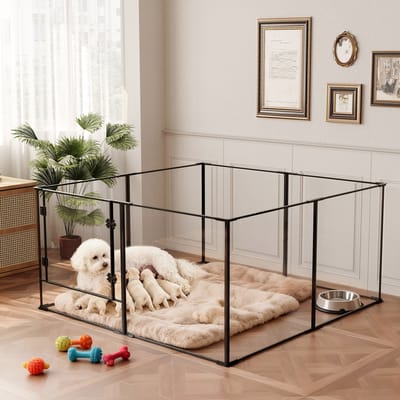BingoPaw Acryl Hondenren Hek - Grote Binnenspeelpen voor Puppy's - Puppy Speelpen - Doorzichtige Speelpen voor Huisdieren - Werpkist voor Middelgrote Honden - 122x122x61cm