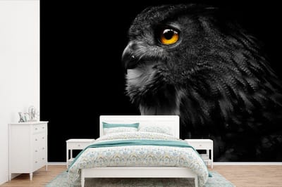 Behang - Fotobehang Uil - Vogel - Zwart - Portret - Breedte 525 cm x hoogte 350 cm
