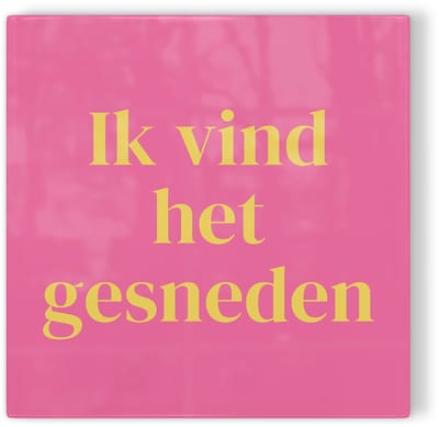 Tegeltje Haarlem Ik vind het gesneden - roze geel - tegeltje stad - tegeltje met tekst