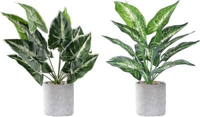 Onderhoudsvrije kunstplanten in pot, 38 cm, moderne decoratie voor woonkamer, slaapkamer en kantoor, perfect voor elke ruimte