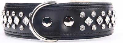 Dog's Companion Leren Halsband - met Strass Kristallen - Lengte: 45 cm Verstelbaar van 32-41 cm x 40 mm - Zwart