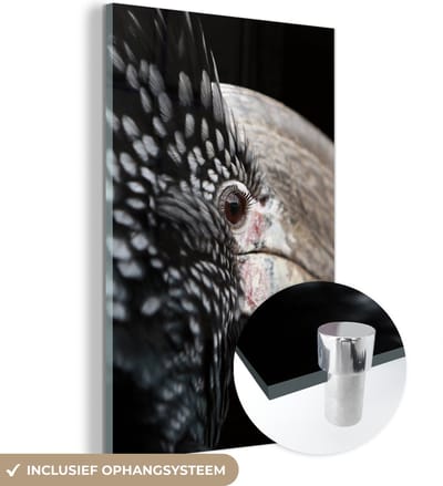 MuchoWow® Glasschilderij 120x180 cm - Schilderij acrylglas - Vogel - Snavel - Veren - Foto op glas - Schilderijen