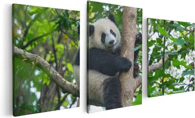 Artaza Canvas Schilderij Drieluik Panda in de Bomen - 120x60 - Foto Op Canvas - Canvas Print
