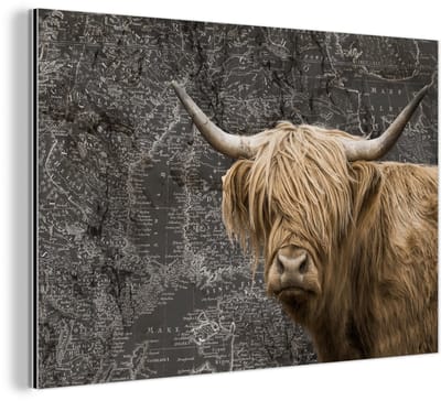 Aluminium schilderij 150x100 cm - Wanddecoratie metaal - Schotse hooglander - Wereldkaart - Dieren - Metalen muurdecoratie woonkamer - Decoratie industrieel - Foto op dibond - Industriële accessoires slaapkamer