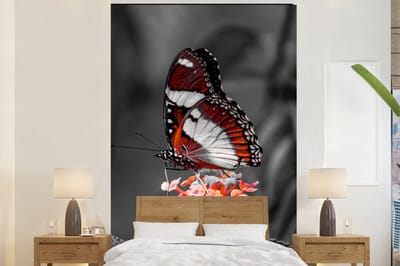 Behang - Fotobehang Vlinder - Dieren - Bloemen - Zwart wit - Oranje - Breedte 155 cm x hoogte 240 cm