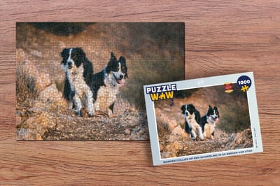 Puzzel Border Collies op een wandeling in de bergen van Utah - Legpuzzel - Puzzel 1000 stukjes volwassenen