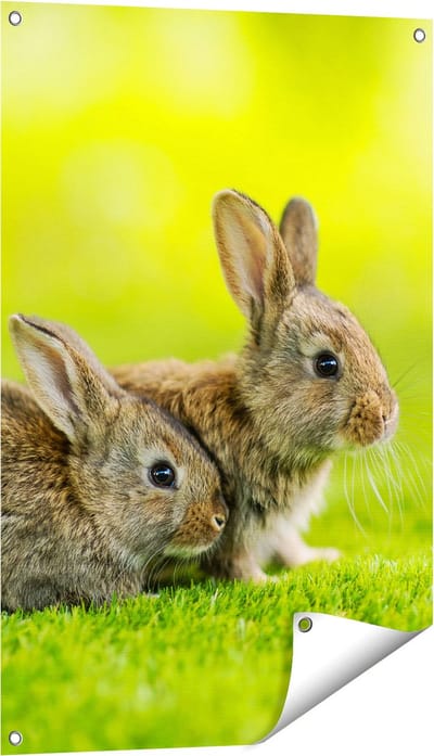 Gards Tuinposter Twee Konijnen op het Groene Gras - 60x90 cm - Tuindoek - Tuindecoratie - Wanddecoratie buiten - Tuinschilderij