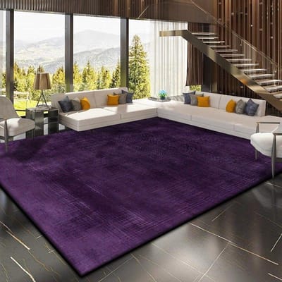 Tapis de Maison Décoration Abstraite Moderne Couleur Unie Antidérapant Grand Tapis de Salon Lavable Paillasson d'Entrée Nettoyage Facile Doux 80*120cm